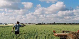 ΟΠΕΚΕΠΕ: Πληρωμές βασικής ενίσχυσης 28,5 εκ. ευρώ σε 30.935 γεωργούς