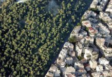 δασικοί χάρτες