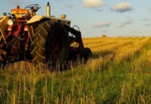 Αποστόλου: Στο 13% από 24% ο ενιαίος συντελεστής ΦΠΑ για τους αγρότες