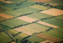 Στα 700 εκατ. ευρώ η χρηματοδότηση για την αγροτική ανάπτυξη