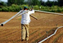 ΟΠΕΚΕΠΕ: Διευκρινίσεις για τα Δικαιώματα Βασικής Ενίσχυσης 2017