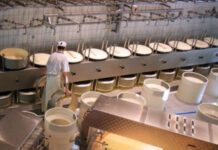 ΕΛΣΤΑΤ: Αύξηση 5,6% στη βιομηχανική παραγωγή τον Αύγουστο