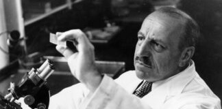 georgios_papanikolaou