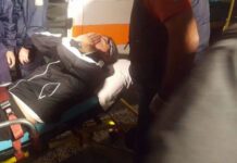 Κουτάκι μπίρας στο κεφάλι του Ίβιτς και διακοπή στο Παναθηναϊκός-ΠΑΟΚ