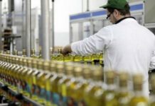 ΙΟΒΕ: Αύξηση 12,1% στις επενδυτικές δαπάνες για τη μεταποίηση