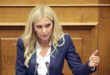 Αραπατζή: «Η ανεπάρκεια της κυβέρνησης ταλαιπωρεί τους αγρότες»