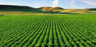 Διευκρινίσεις για τη δήλωση στοιχείων μίσθωσης αγροτικών εκτάσεων