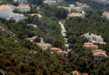 Παράταση για τους δασικούς χάρτες έως τις 27 Ιουλίου