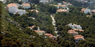 Παράταση για τους δασικούς χάρτες έως τις 27 Ιουλίου