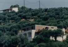 Παράταση έως τις 27 Ιουλίου για τους δασικούς χάρτες Φάμελλος: Από τον Οκτώβρη η β' φάση ανάρτησης δασικών χαρτών