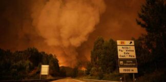 Στους 62 οι νεκροί από την φονική πυρκαγιά στην Πορτογαλία