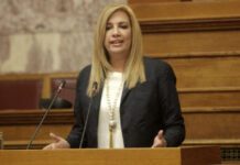Κεντροαριστερά: Οι επόμενες κινήσεις της Φώφης Γεννηματά