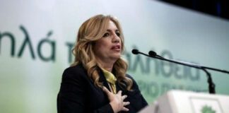 Γεννηματά: Υπάχει πρόβλημα Δημοκρατίας