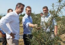 Μητσοτάκης: Πρώτη προτεραιότητά μας η στήριξη της αγροτικής παραγωγής Μητσοτάκης: Πρώτη προταιρεότητά μας η στήριξη της αγροτικής παραγωγής