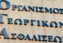 ΟΓΑ: Πριν τα Χριστούγεννα το επίδομα στις αγρότισσες πολύτεκνες μητέρες