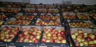 Συμπληρωματική ενίσχυση 70 εκατ. ευρώ στους Ευρωπαίους φρουτοπαραγωγούς