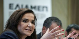 Μπακογιάννη: Η κυβέρνηση αδιαφορεί σκόπιμα για το λαθρεμπόριο καυσίμων