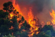 Περισσότεροι από 120 πυροσβέστες μάχονται στις φωτιές στη Μάνη «Σχέδιο για εμπρησμούς σ΄ολόκληρη τη χώρα ενόψει τριημέρου»