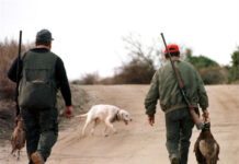 Στις 20 Αυγούστου η έναρξη της κυνηγετικής περιόδου