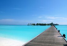 sunny_images