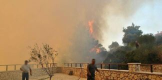 Φέτος μας αφήσατε να μας κάψουν-Του χρόνου κι εμείς θα σας «μαυρίσουμε»!