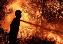 Εκκένωση των Αγίων Αποστόλων και των γύρω οικισμών ζητάει ο δήμαρχος Ωρωπού Εκκένωση των Αγίων Αποστόλων και των γύρω οικισμών ζητάει ο δήμαρχος Ωρωπού