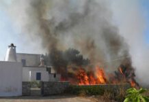 Στα Κύθηρα κλιμάκιο της Πυρoσβεστικής για τα αίτια της πυρκαγιάς Στα Κύθηρα κλιμάκιο της Πυρoσβεστικής για τα αίτια της πυρκαγιάς