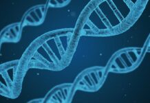 neo-nanotsip-dna