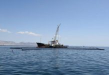 Όμιλος Σπανόπουλου: Κατηγορηματική διάψευση της σύλληψης Σπανόπουλου Όμιλος Σπανόπουλου