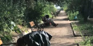 Πεδίο του Άρεως: Ένα ακόμη κέντρο «άγριας ζωής» μες την Αθήνα