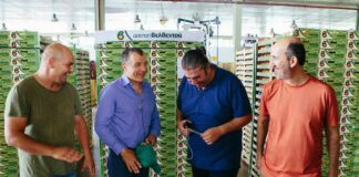 Νέα προσωπική ιστοσελίδα για τον Σταύρο Θεοδωράκη