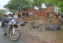 Στο «Δρόμο του Μεταξιού» καβάλα σε μια Honda CRF1000L Africa Twin Στο «Δρόμο του Μεταξιού» καβάλα σε μια Honda CRF1000L Africa Twin