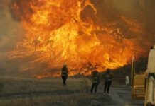 Στους 31 οι νεκροί από τις πυρκαγιές στην Καλιφόρνια