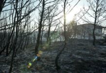 Αντιπλημμυρικά και αντιδιαβρωτικά έργα 4,05 εκατ. ευρώ στον Κάλαμο Αττικής