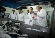 Τσίπρας: Ανάπτυξη με αύξηση της παραγωγής και της απασχόλησης
