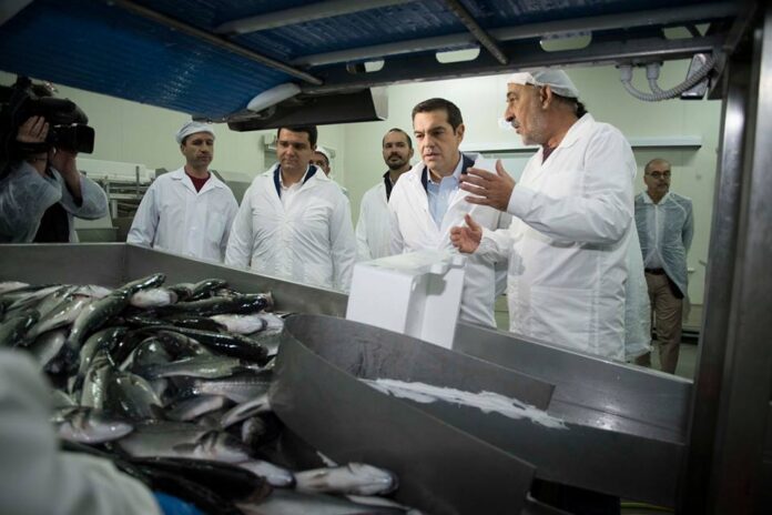 Τσίπρας: Ανάπτυξη με αύξηση της παραγωγής και της απασχόλησης