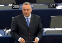Κεφαλογιάννης: Έντονη αβεβαιότητα για το εισόδημα των ελαιοπαραγωγών Κεφαλογιάννης: Έντονη αβεβαιότητα για το εισόδημα των ελαιοπαραγωγών
