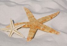 Αίθριο καιρό θα έχουμε αύριο με μικρή άνοδο της θερμοκρασίας αίθριο καιρό θα έχουμε αύριο