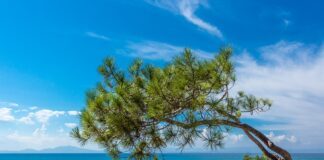 Αίθριο καιρό