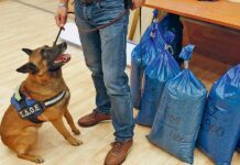 Κατάσχεση ρεκόρ 5 τόνων χαπιών Captagon από τον ΣΔΟΕ