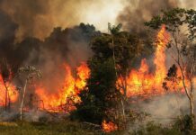 Βραζιλιάνο πρόεδρο