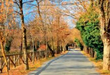 Σήμερα ξεκινά και τυπικά το φθινόπωρο φθινόπωρο