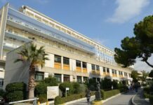 12χρονο