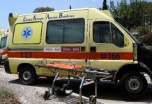 Πεύκη
